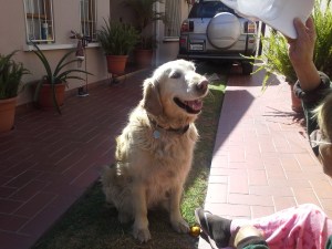 20140622_133834_Android